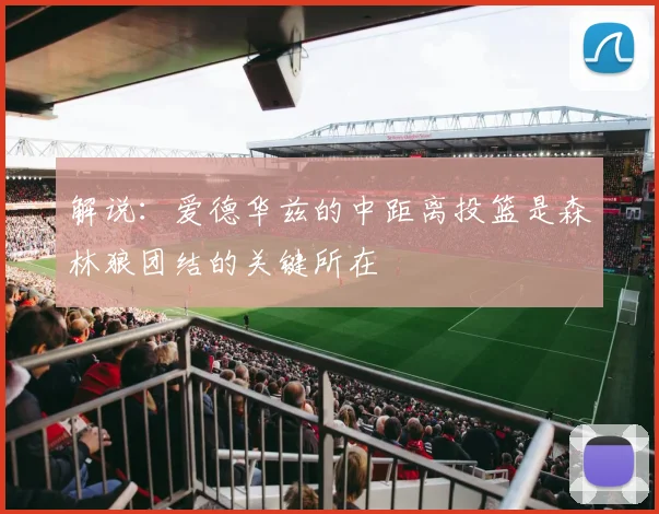 解说：爱德华兹的中距离投篮是森林狼团结的关键所在