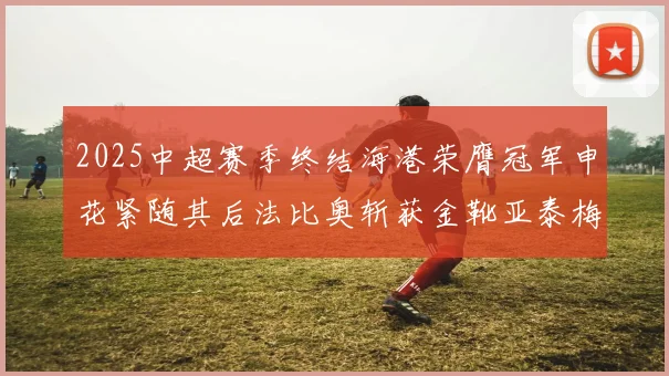 2025中超赛季终结海港荣膺冠军申花紧随其后法比奥斩获金靴亚泰梅州遗憾降级