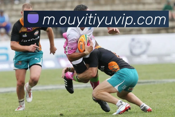 App Interface Preview