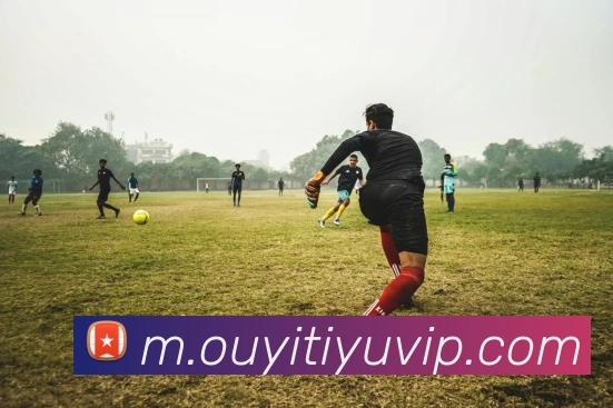 欧亿体育APP 封面图