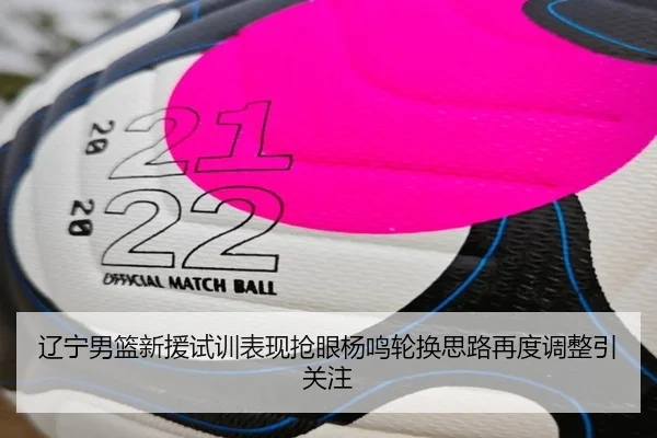 辽宁男篮新援试训表现抢眼杨鸣轮换思路再度调整引关注(oetysports)